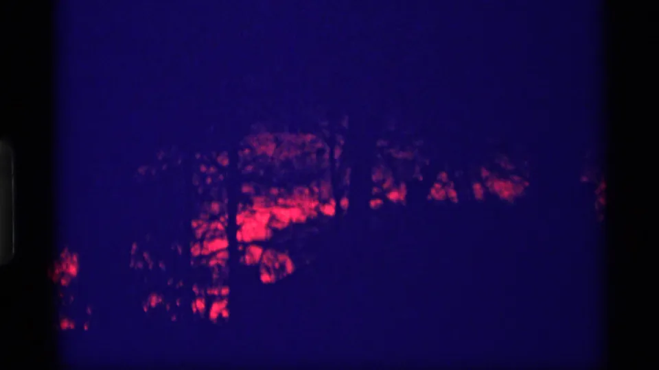 1969 Wisconsin 8mm frame showing dark tree silhouettes lit from behind by red light against a blue night sky.
