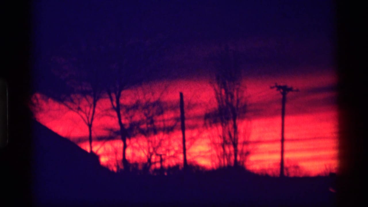 Utility poles and bare trees silhouetted against a bright red sunset.