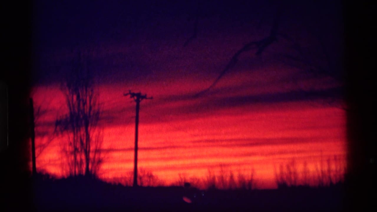 Red-purple sunset behind dark trees and a utility pole.