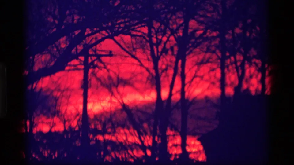 1969 Wisconsin 8mm frame showing dense bare branches and dark tree trunks against a glowing red-purple sunset.