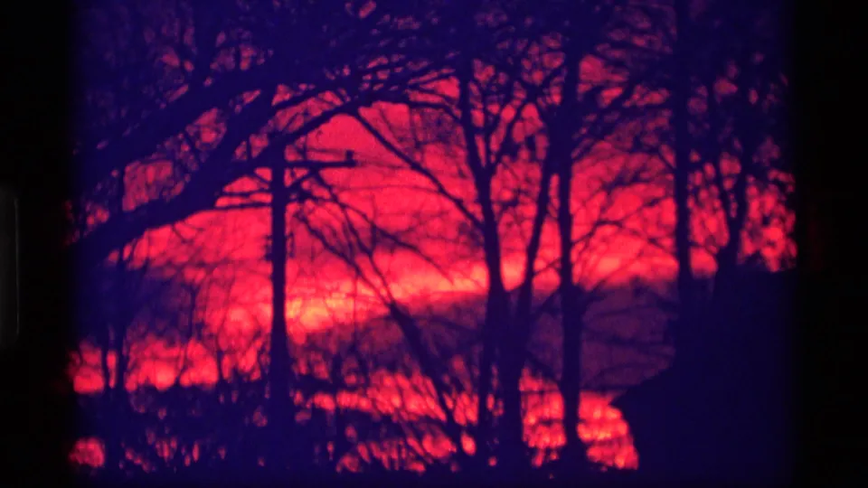 1969 Wisconsin 8mm frame with dark woodland silhouettes, a utility pole, and a saturated red dusk sky.