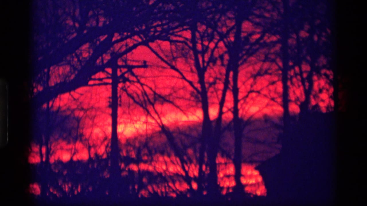 Red sunset behind bare trees and a dark house silhouette.