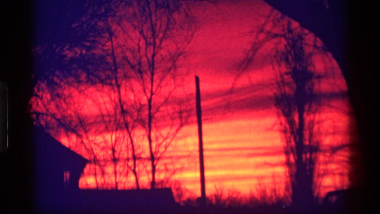 Orange sunset with bare trees, a utility pole, and a dark roofline.