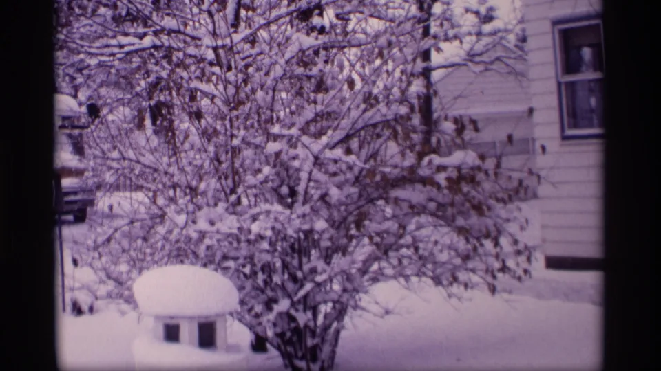 1969 Wisconsin winter yard view with a snow-covered leafless tree, house exterior, window, and small outdoor structure.