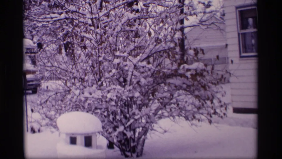1969 Wisconsin 8mm frame showing fresh snow on leafless branches beside a residential house.
