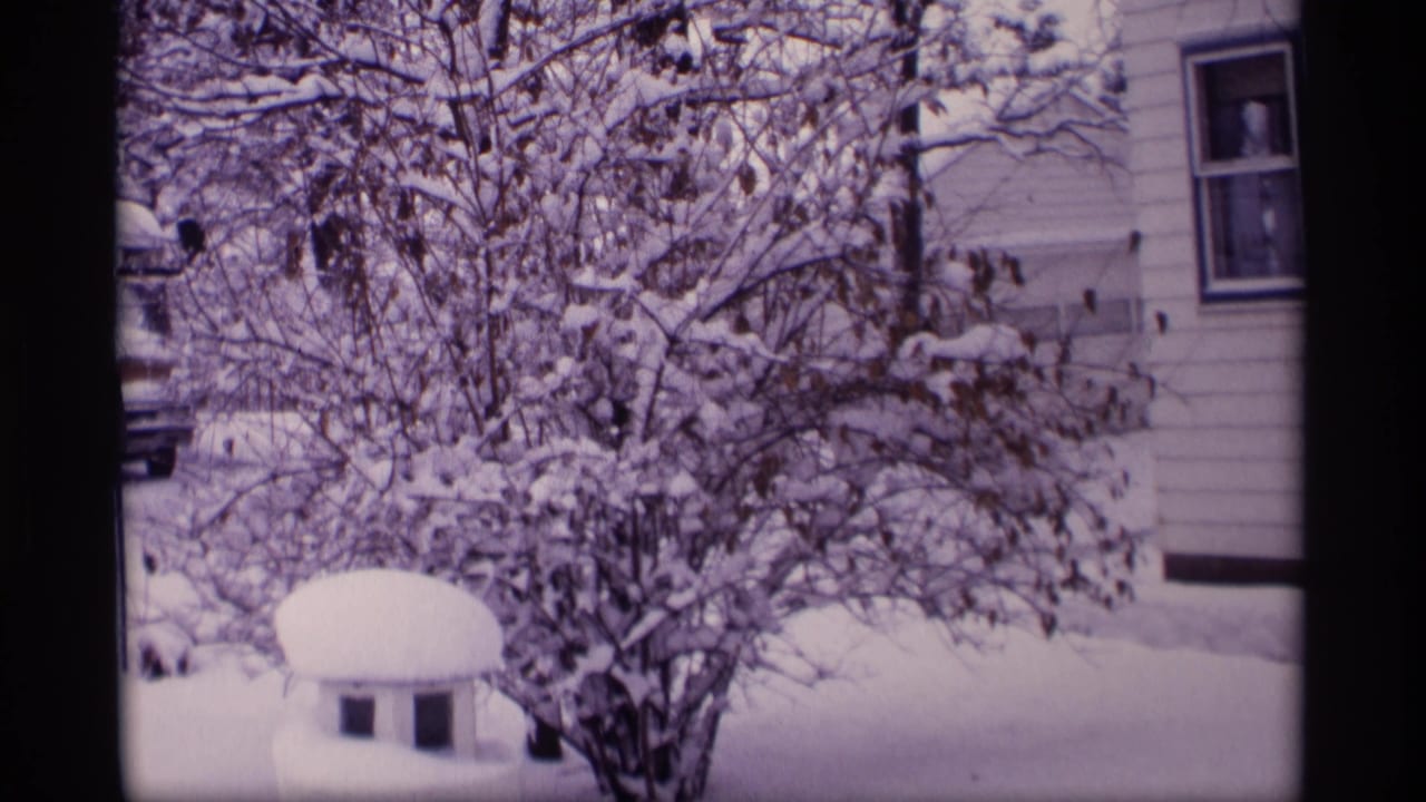 Snowy tree branches and a house wall seen from a steady outdoor view.