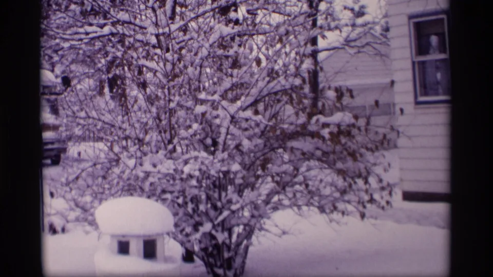 1969 Wisconsin home-movie frame of snow-coated foliage against a residential house exterior.