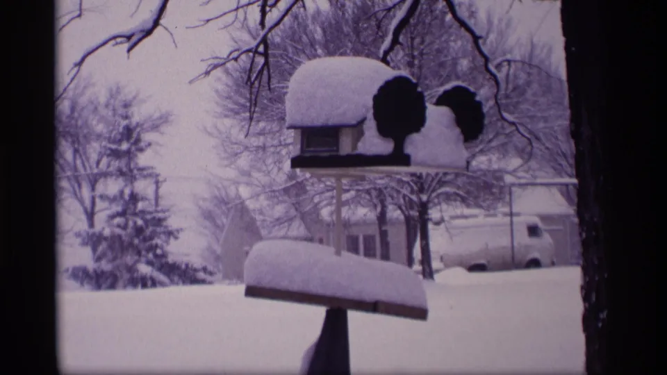 1969 Wisconsin winter frame showing a snow-topped birdhouse or feeder, mailbox, trees, houses, and a white van.