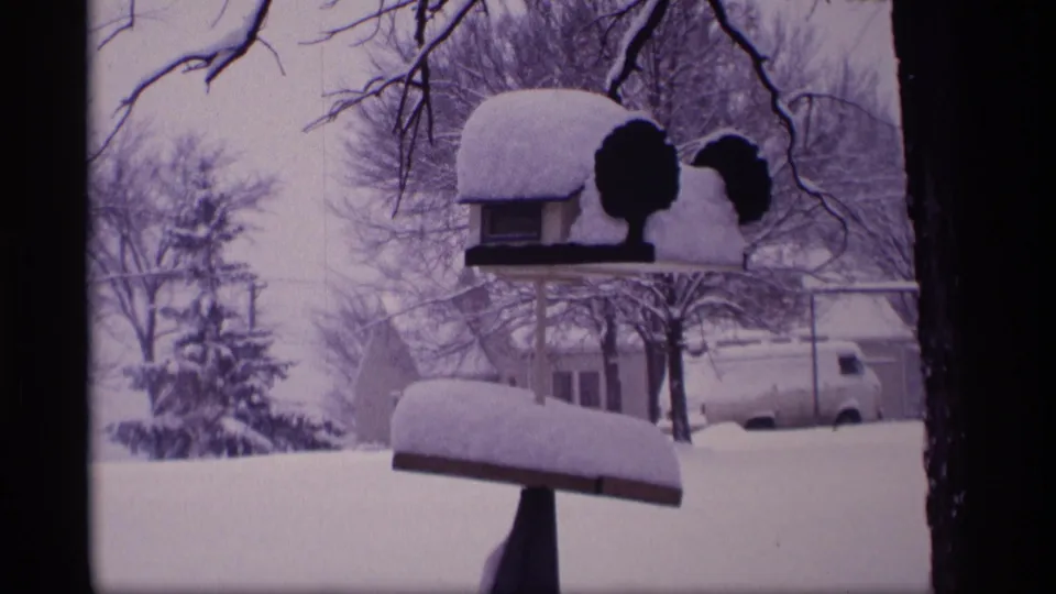 1969 Wisconsin 8mm frame with a snow-covered birdhouse or feeder, mailbox, tree trunk, houses, and parked white van.