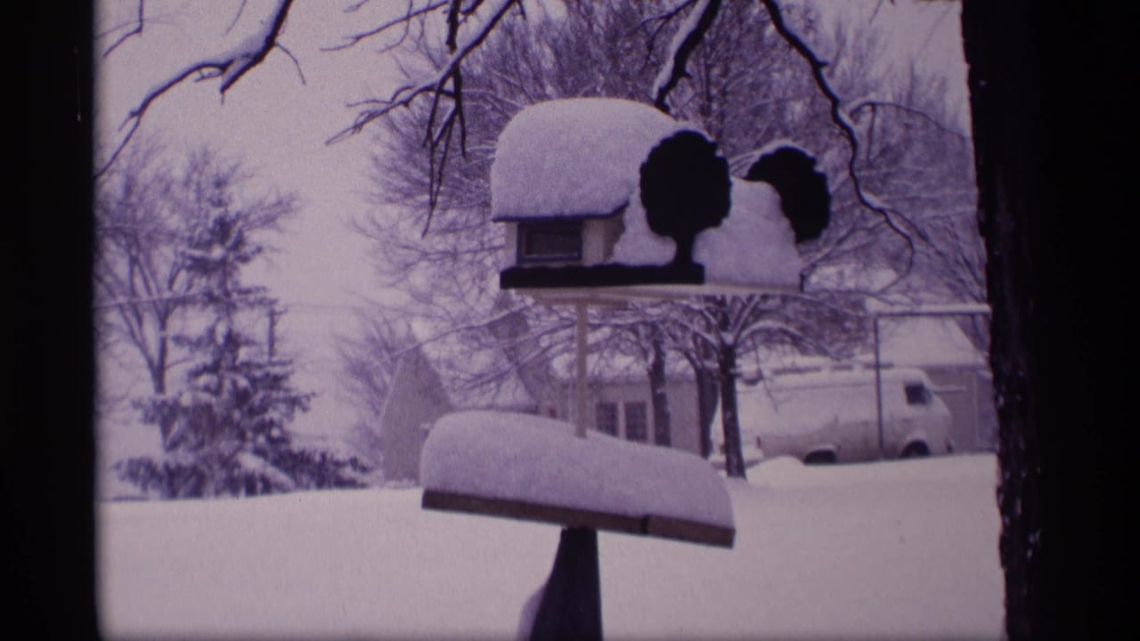 Snow-covered mailbox and bird feeder in a residential yard during winter.