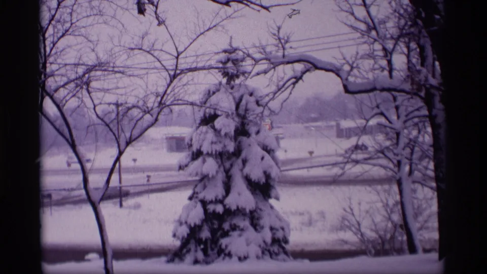 1969 Wisconsin 8mm frame showing a snow-laden evergreen framed by bare branches, with residential buildings and a snowy road or drive behind it.