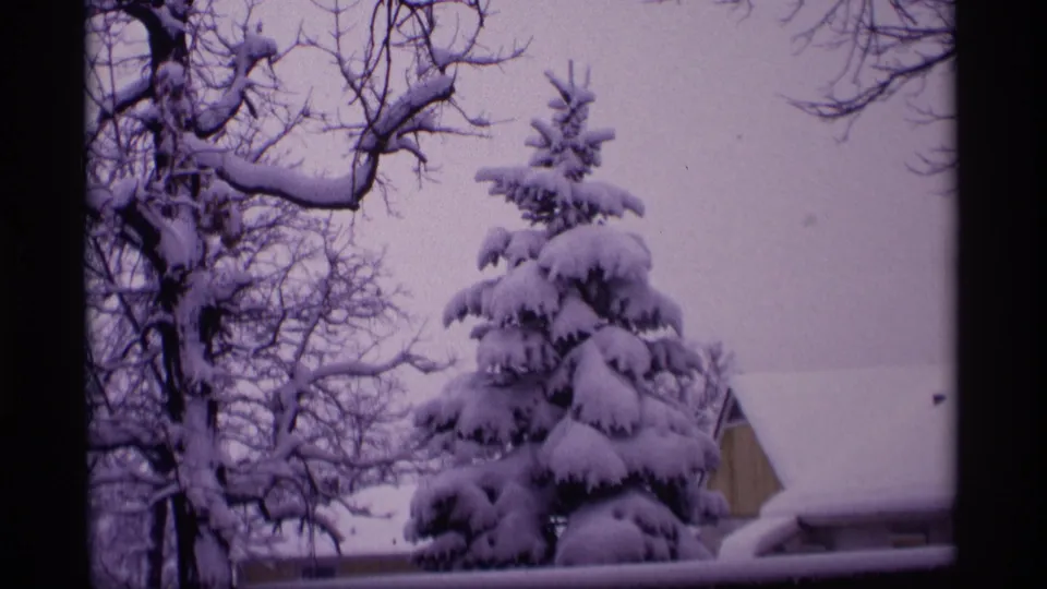 1969 Wisconsin winter frame with snow-covered evergreen branches, bare limbs, pale sky, and part of a residential roofline at the right edge.