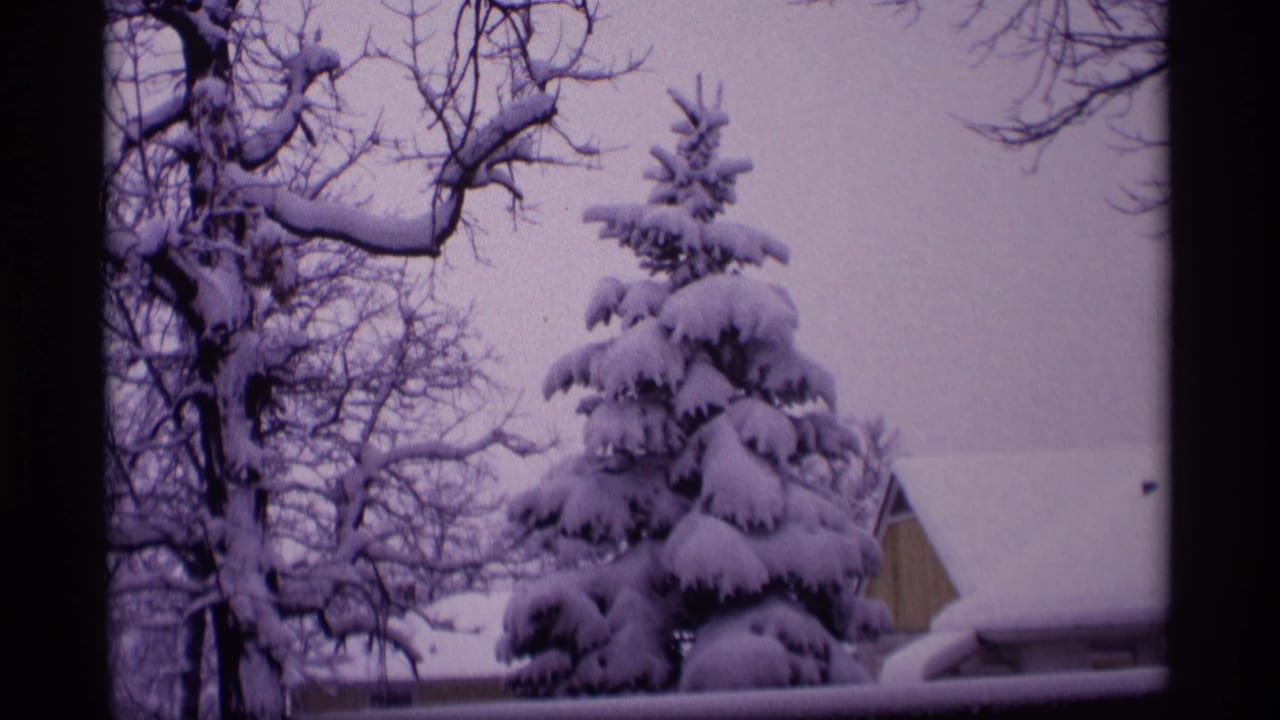 Snow-covered evergreen and bare trees with a roofline in the background.