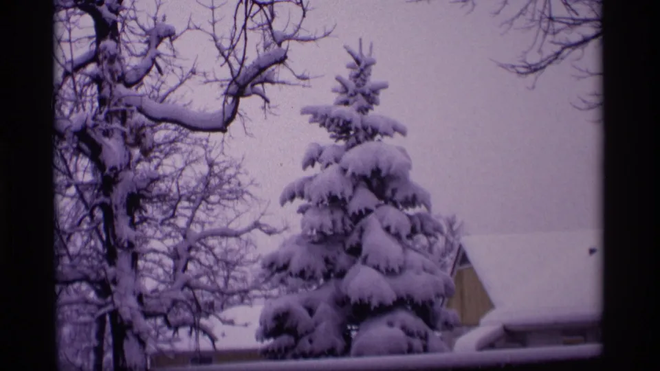 1969 Wisconsin 8mm frame showing a snow-laden evergreen, bare winter branches, and a partial residential roof under an overcast sky.