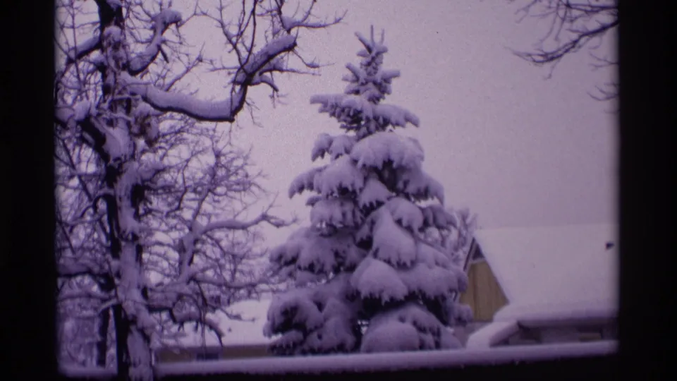 1969 Wisconsin 8mm frame of a snow-covered evergreen and leafless trees, with a partial residential roof in the background.