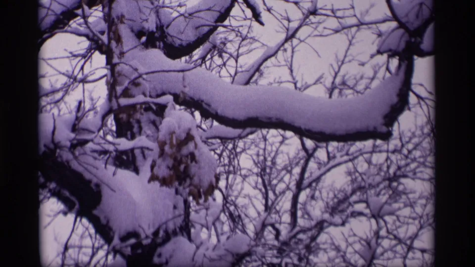 1969 Wisconsin 8mm frame looking up at bare tree limbs carrying thick snow, with winter branches filling the view.