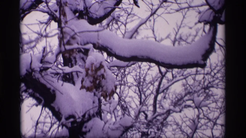 1969 Wisconsin 8mm frame of snow-laden bare branches, with a heavy limb crossing the upper part of the winter scene.