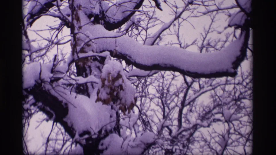 1969 Wisconsin 8mm frame showing heavy snow on bare tree limbs against a pale winter sky with a purple film tint.