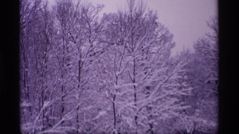 1969 Wisconsin winter woodland with snow-coated bare trees, pale sky, and soft 8mm grain.