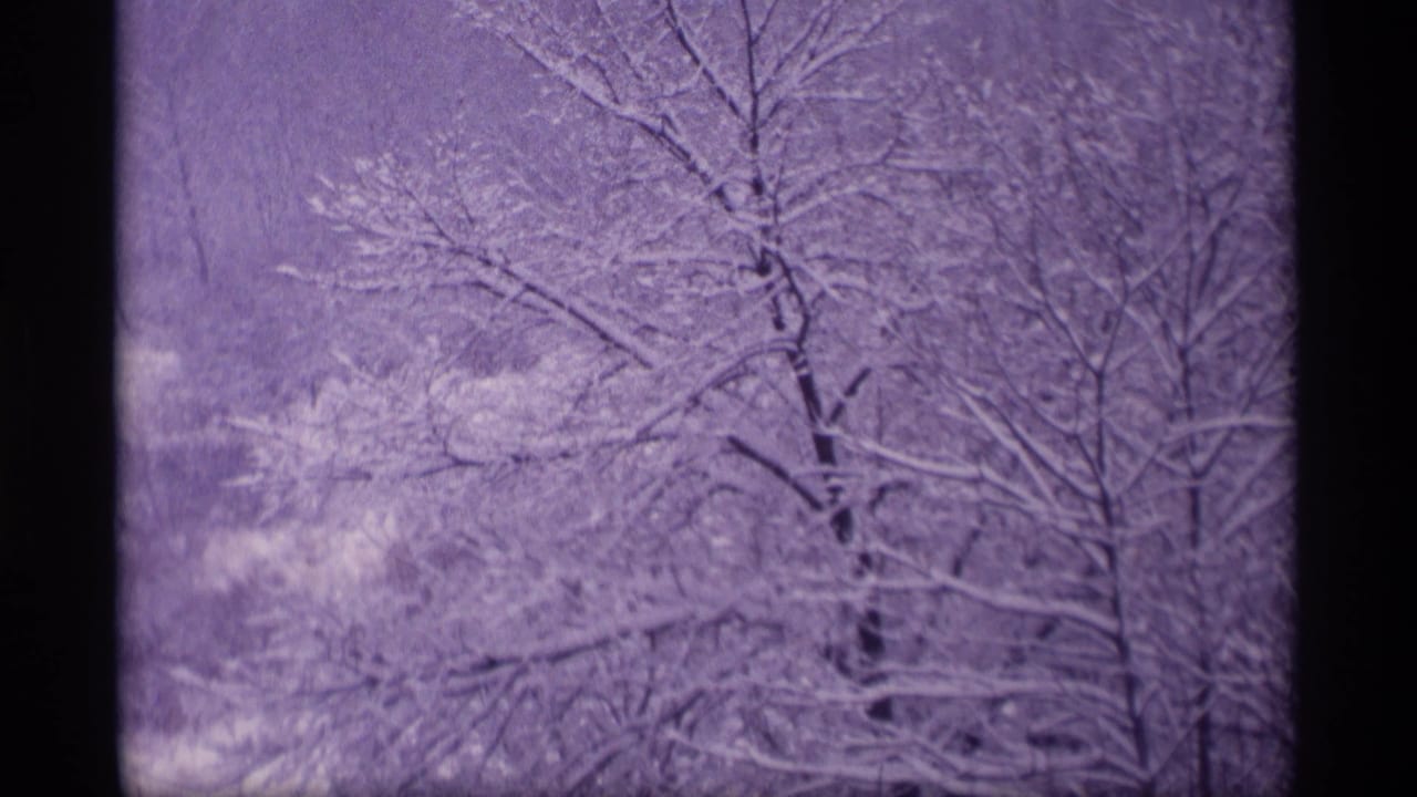Snow-covered bare trees seen through a dark-edged 8mm frame.