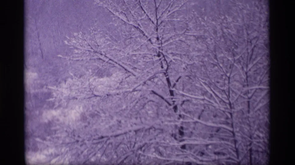 1969 Wisconsin 8mm frame showing leafless trees coated with fresh snow in a purple-tinted winter view.
