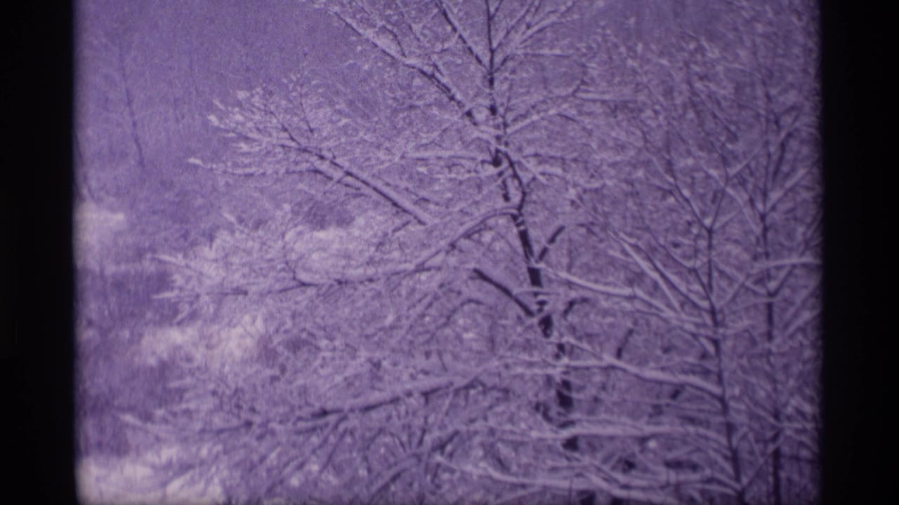 Snowy bare trees fill the frame with dark film borders at the sides.