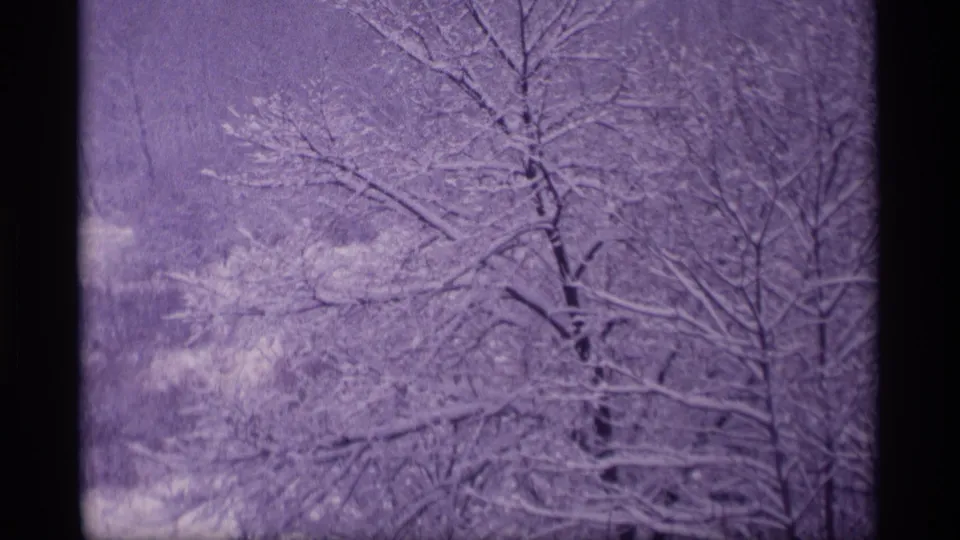 A 1969 Wisconsin home-movie view of snow-laden trees, with soft focus and purple 8mm color shift.