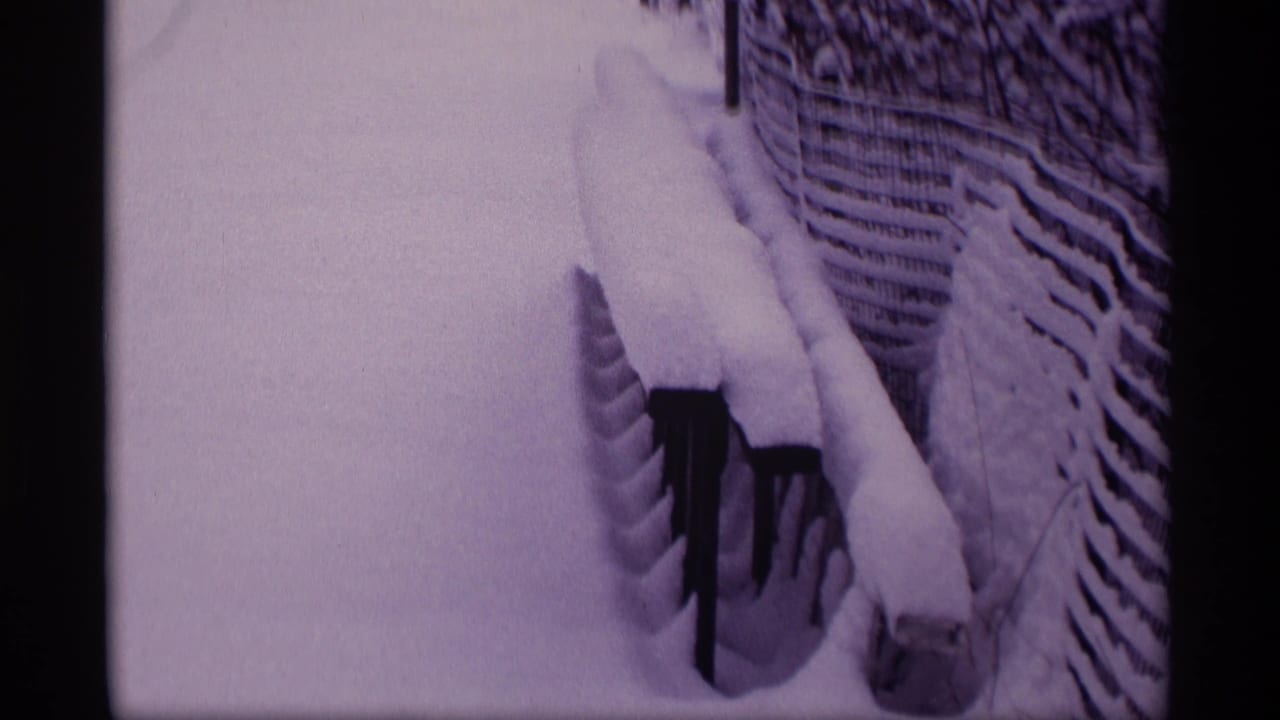 Snow-covered wooden fence beside a snowy outdoor yard.