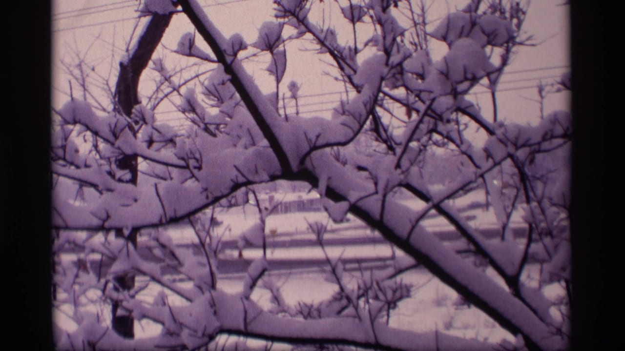 Snow-covered bare tree branches in front of a pale winter sky and distant building.