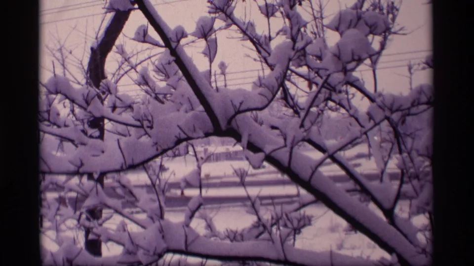 1969 Wisconsin 8mm frame of heavy snow resting on bare branches, with utility lines and a distant building behind them.