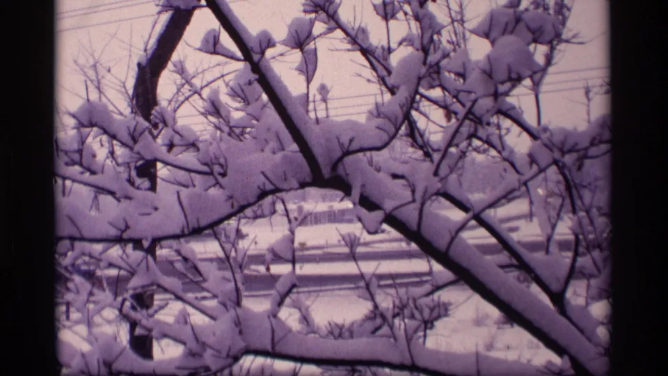 1969 Wisconsin winter view showing snow-packed branches, overhead wires, and a partially obscured structure beyond.