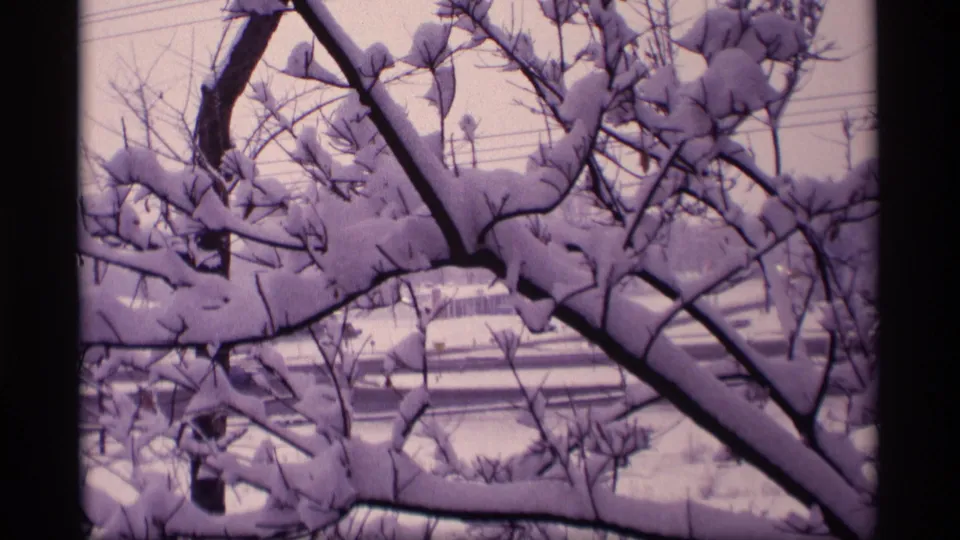 Vintage 8mm Wisconsin snow scene with dark limbs, packed snow, overhead wires, and a distant building seen through branches.