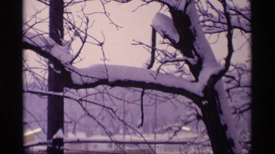 1969 Wisconsin 8mm frame of a heavy snow-covered limb beside a utility pole, with bare twigs and a distant wintry background.