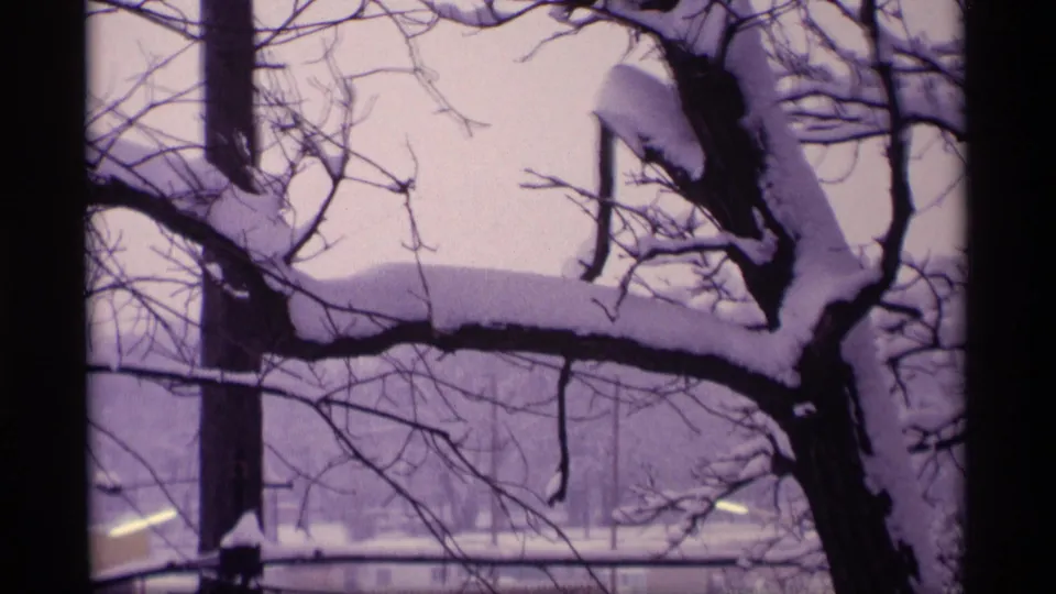 1969 Wisconsin 8mm frame showing leafless trees, heavy snow on branches, and a quiet yard seen through a cool purple film cast.