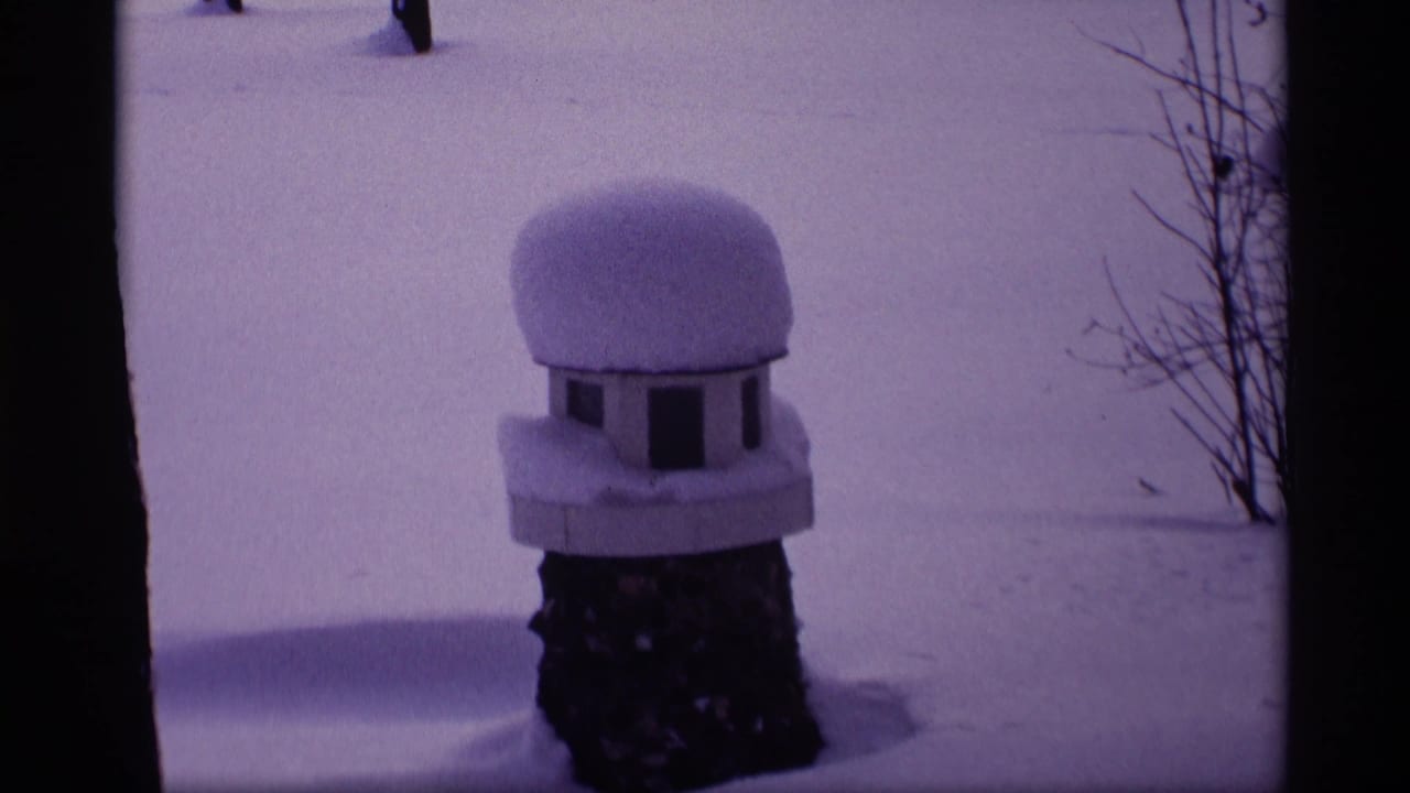 Snow-covered birdhouse on a post beside a snowy yard.