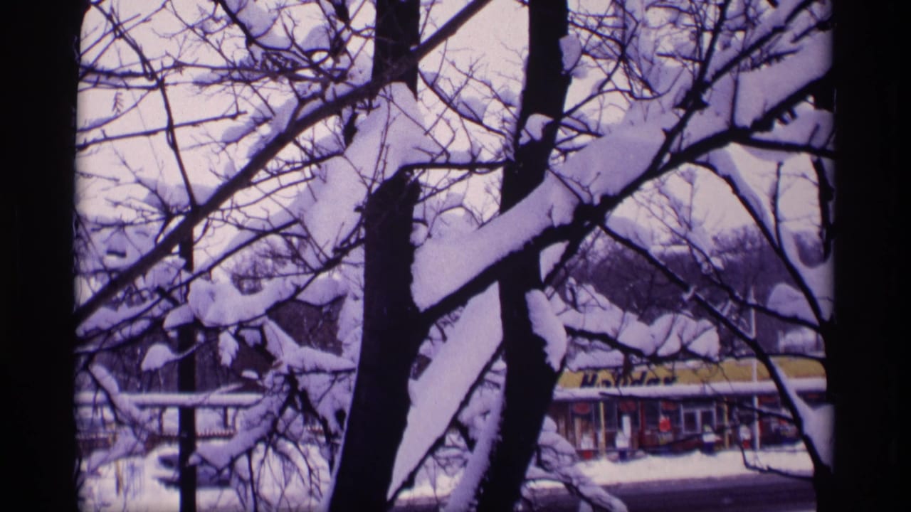 Snow-laden tree branches with buildings visible beyond them.