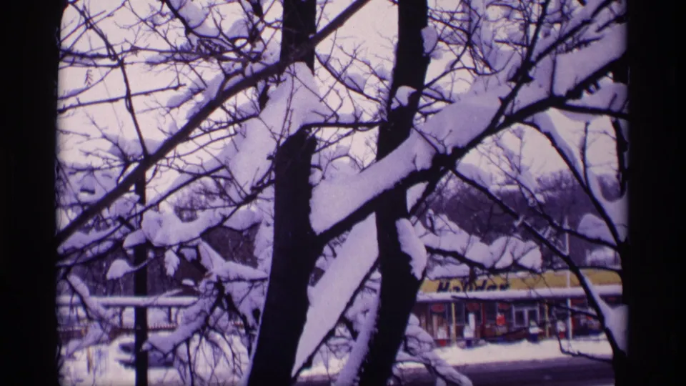 Snow-covered bare branches fill the foreground, with a Wisconsin neighborhood building and yellow sign visible in the distance.