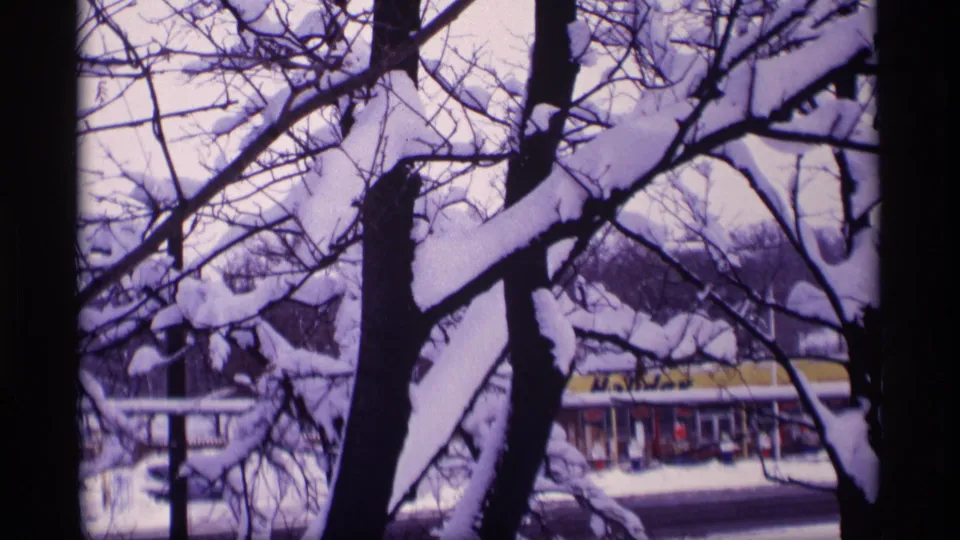 A 1969 Wisconsin winter view through snow-coated branches toward a residential street and low building in the background.