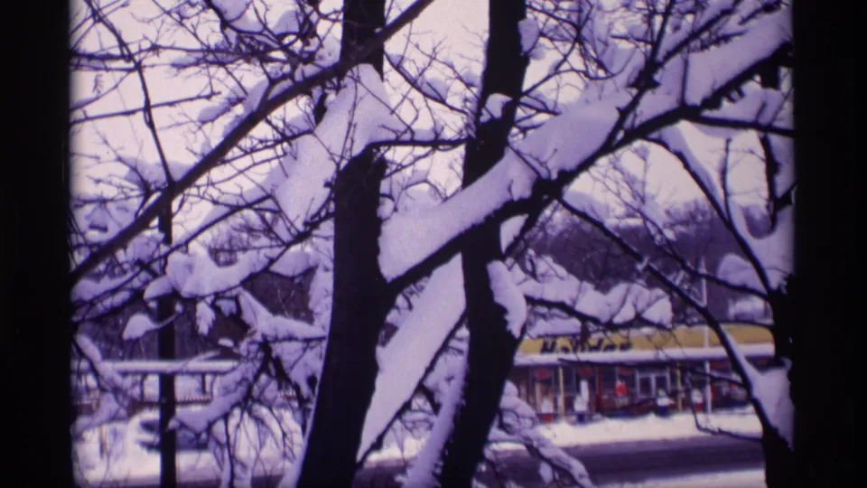 Snow-covered branches dominate the frame, partially obscuring a Wisconsin neighborhood building with a yellow sign in the background.