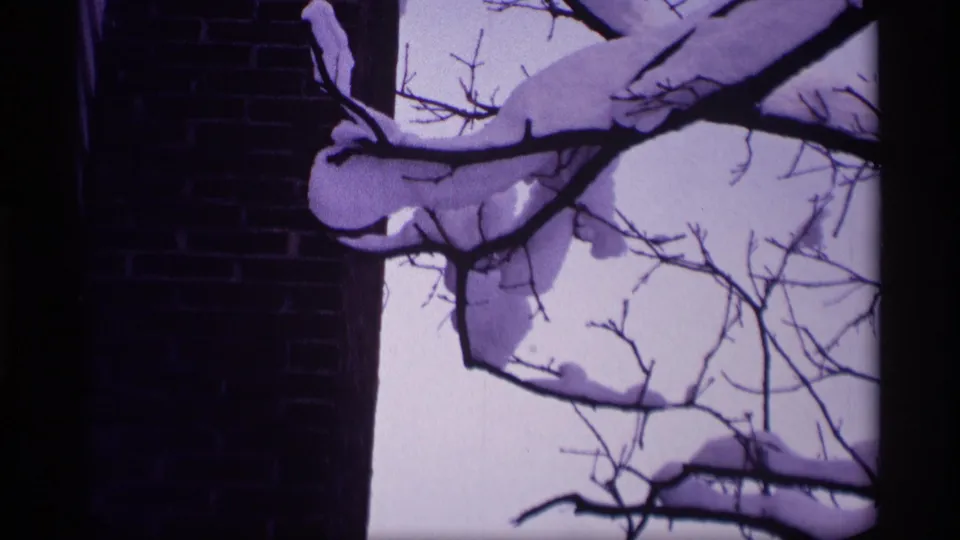 1969 Wisconsin home-movie frame with snow-covered branches silhouetted against a pale sky near a brick wall.