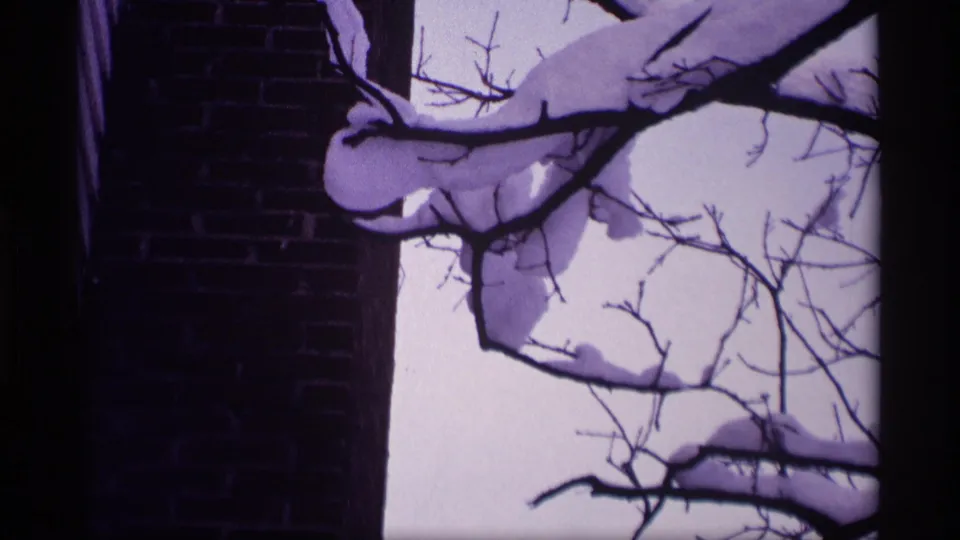 1969 Wisconsin winter frame holding on snow-capped branches, a brick wall, and a bright overcast sky.