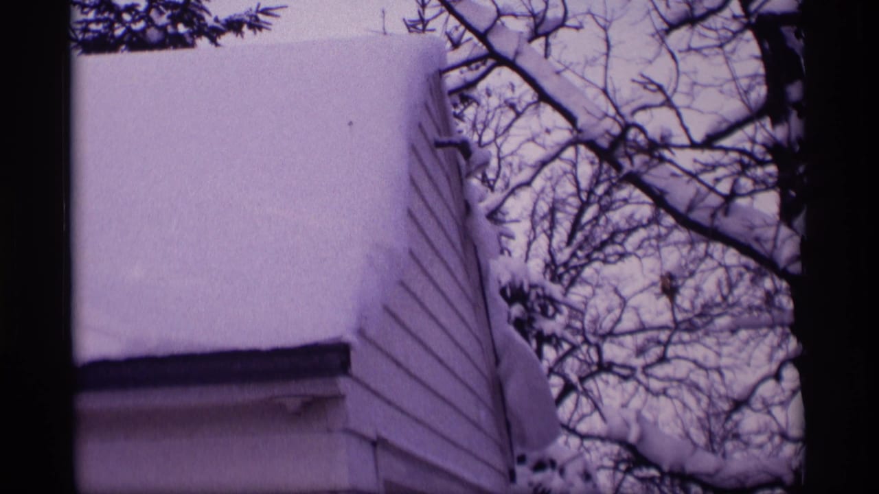 Snow piled on a white-sided house with bare branches overhead.