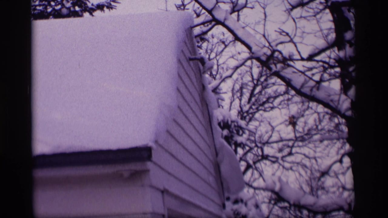Snow-covered roofline and tree branches beside a white house.