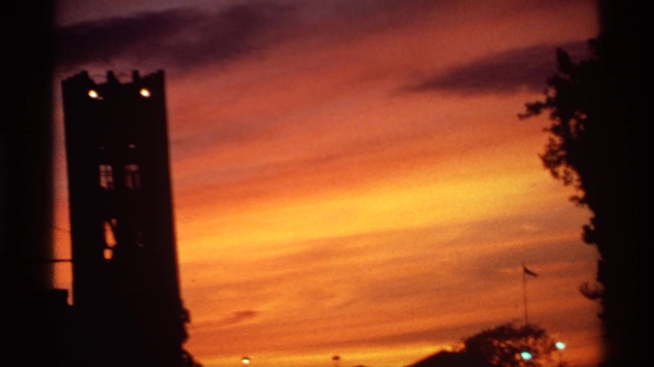 Silhouetted tower and dark tree edge set against a saturated orange sunset.