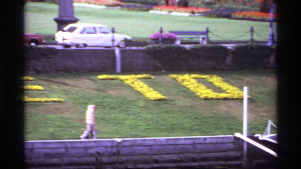 A pedestrian walks along a waterfront wall beside yellow floral letters on a green lawn.
