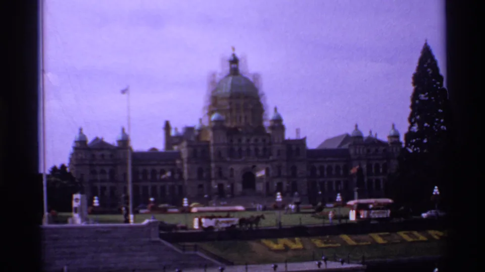 Soft 8mm frame of Victoria's Parliament Buildings across the harbor, showing the dome, stone facade, lawn, and dark evergreen tree.