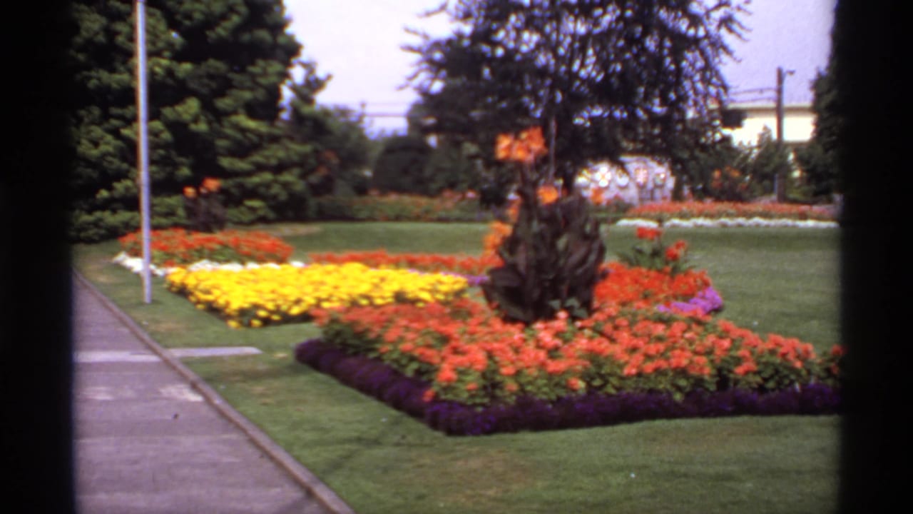 Formal flower bed with orange, yellow, and purple blooms beside a sidewalk and lawn.