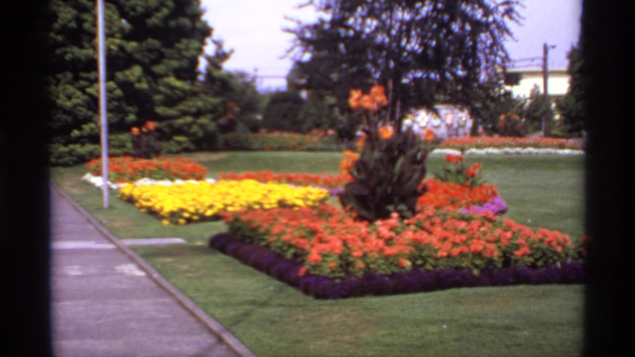 Colorful park flower beds and lawn with trees and a sidewalk in the background.
