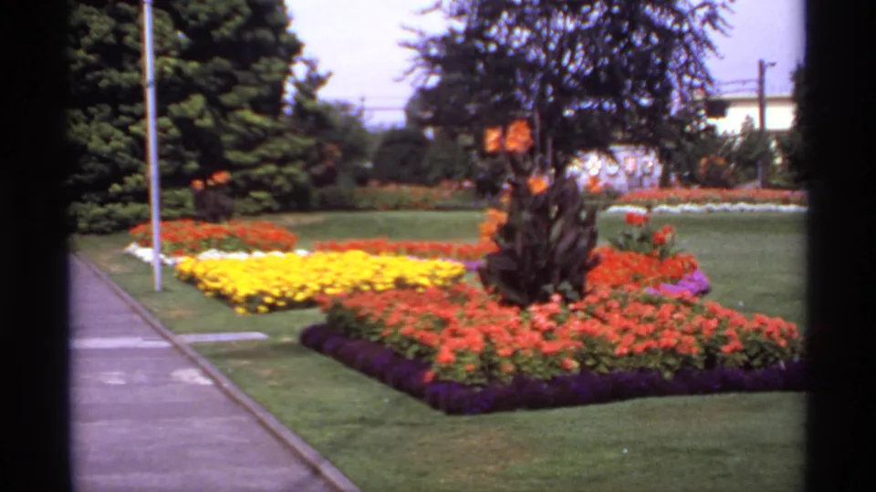 1974 Canada 8mm view of a landscaped park bed with orange, yellow, white, and purple flowers beside a paved sidewalk.