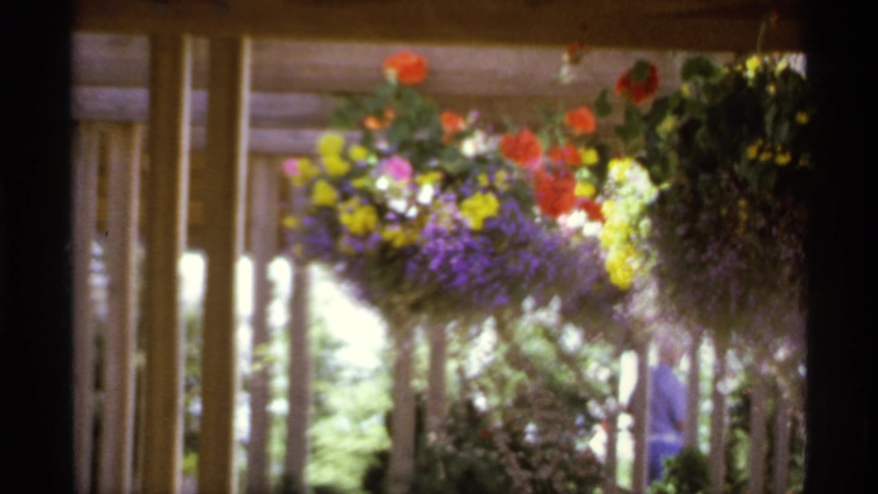 Porch flower baskets with a distant person partly visible behind them.